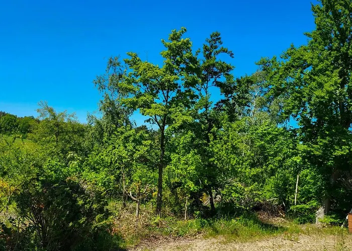 Дом отдыха Original Friis & Moltke House At Ellemandsbjerget *